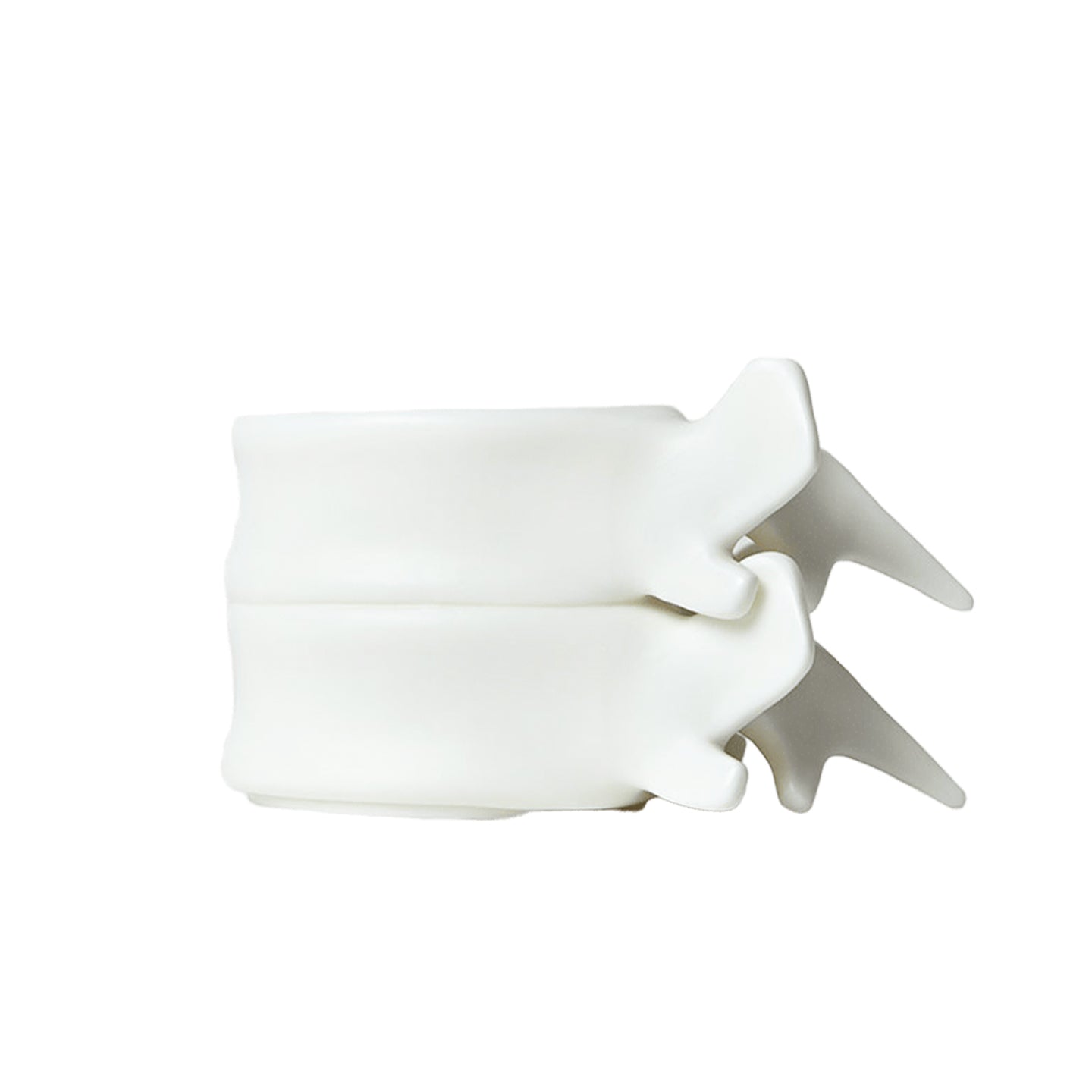 Mr.NOPLAN Spine‑Shaped White Porcelain Cup