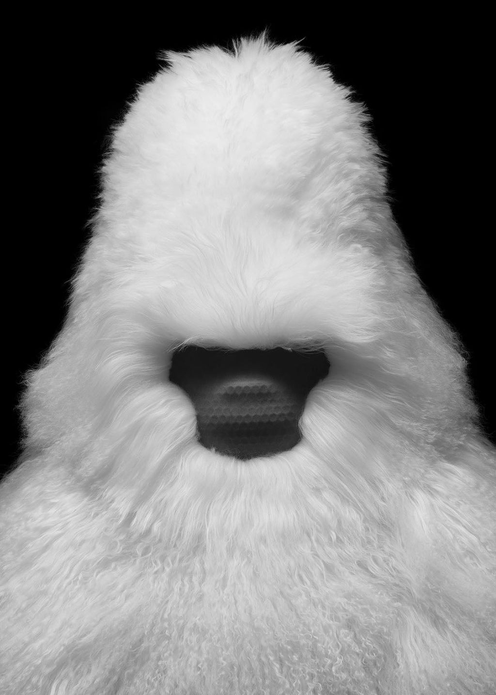 IF AUDIO STUDIO Speaker David I - -Plush ver. White --SOLD OUT