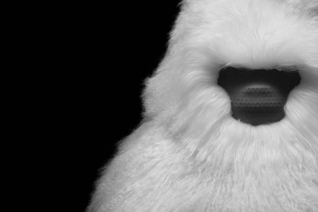 IF AUDIO STUDIO Speaker David I - -Plush ver. White --SOLD OUT