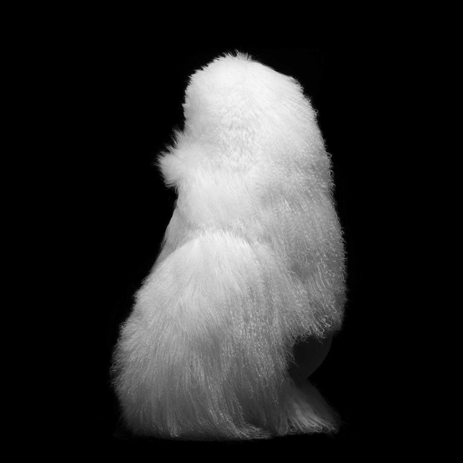 IF AUDIO STUDIO Speaker David I - -Plush ver. White --SOLD OUT
