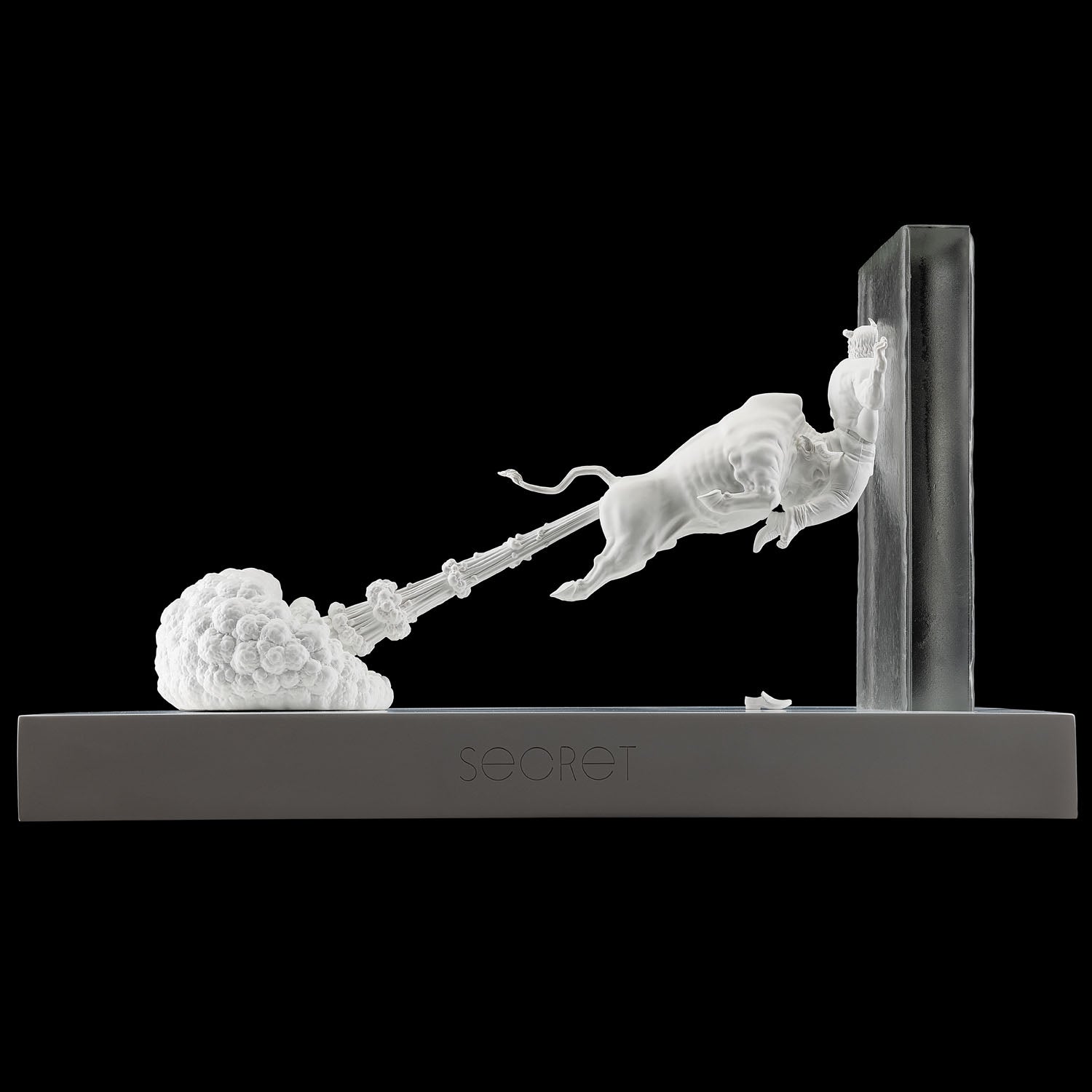 SECRET x CHEN WENLING《 WHAT YOU SEE MAY NOT BE TURE》limited 999