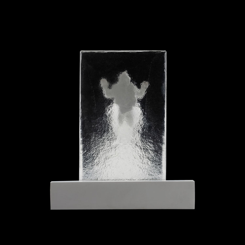 SECRET x CHEN WENLING《 WHAT YOU SEE MAY NOT BE TURE》limited 999