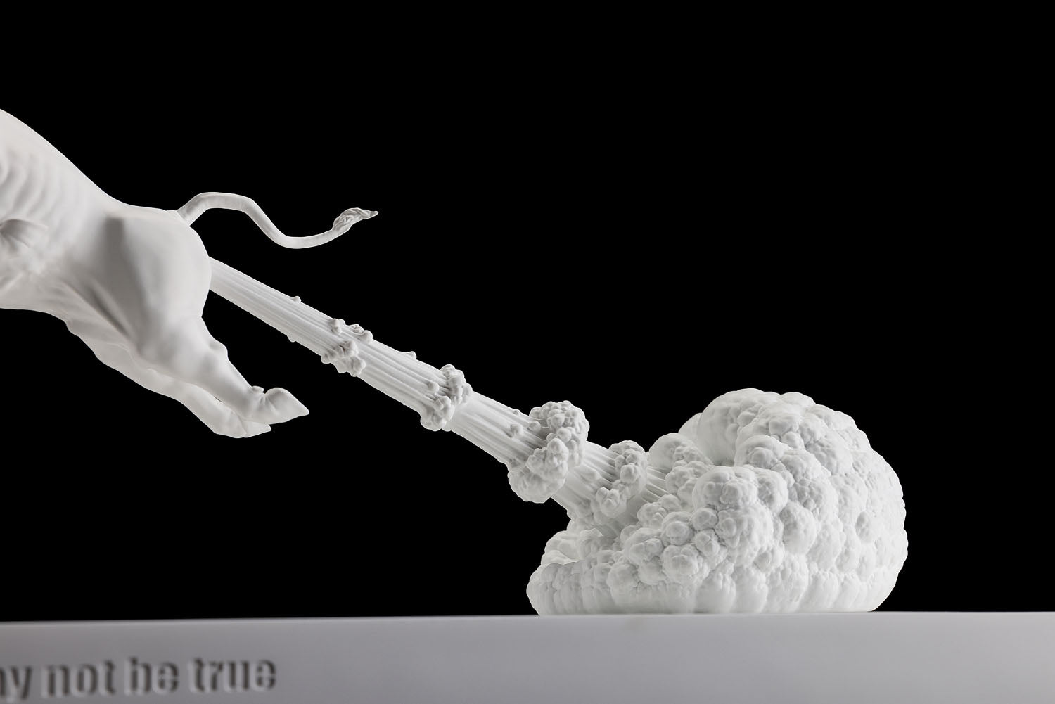 SECRET x CHEN WENLING《 WHAT YOU SEE MAY NOT BE TURE》limited 999