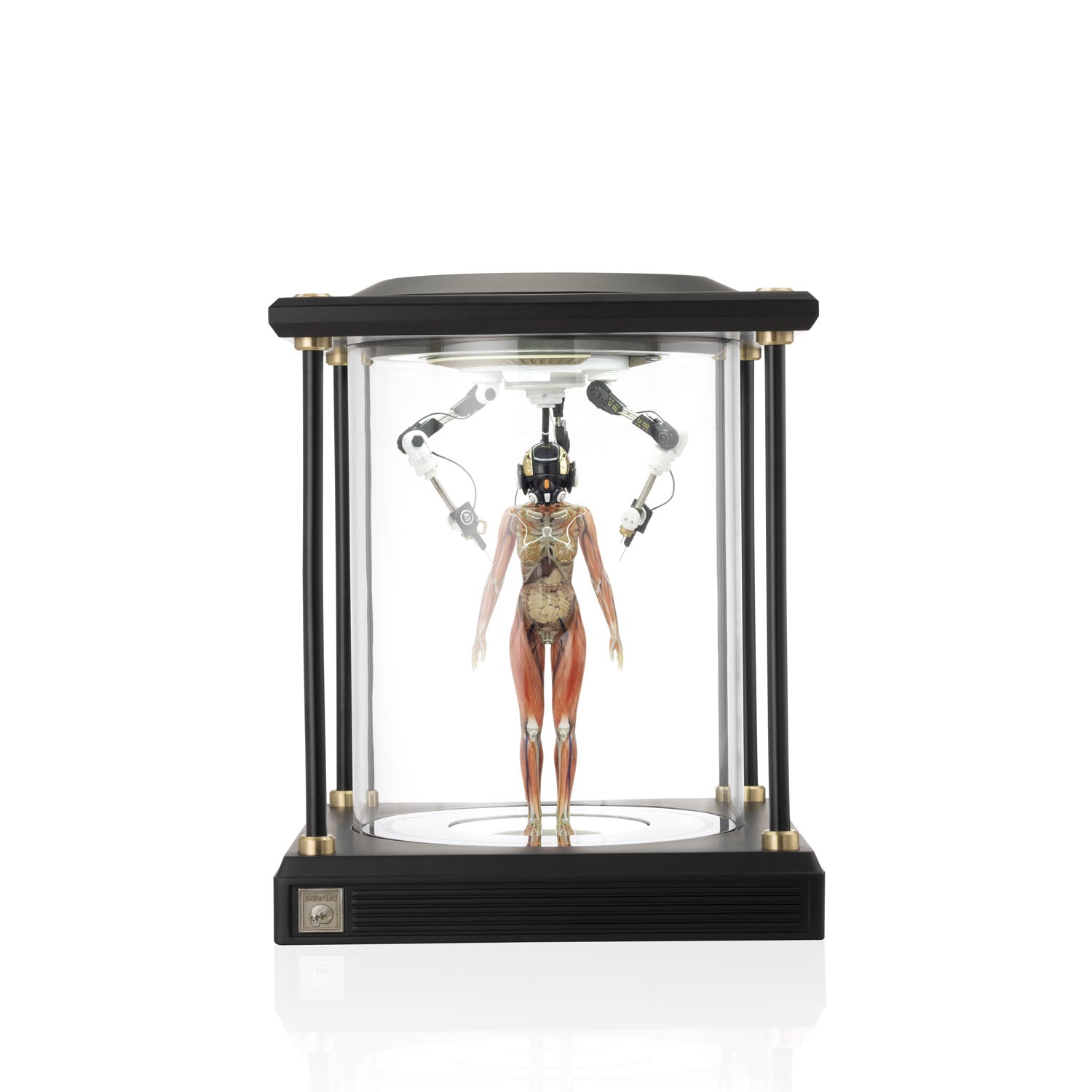 SOLAR LAB x YUHAN DESIGN STUDIO ornaments - Artificial Body limited 500