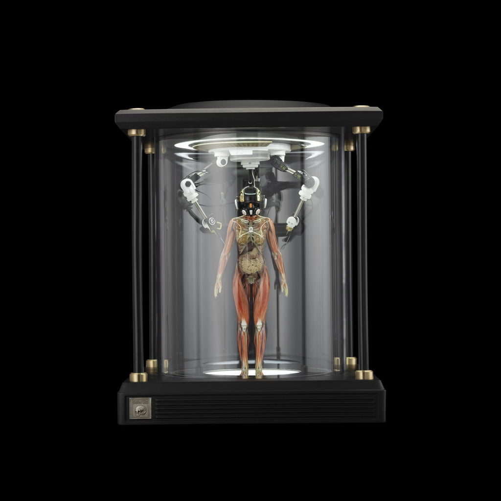 SOLAR LAB x YUHAN DESIGN STUDIO ornaments - Artificial Body limited 500