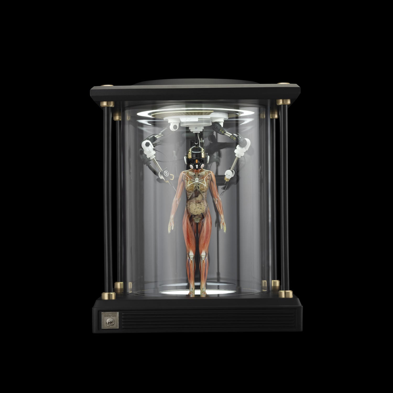 SOLAR LAB x YUHAN DESIGN STUDIO ornaments - Artificial Body limited 500