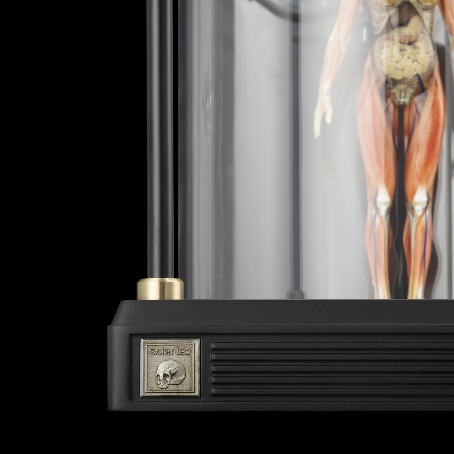 SOLAR LAB x YUHAN DESIGN STUDIO ornaments - Artificial Body limited 500