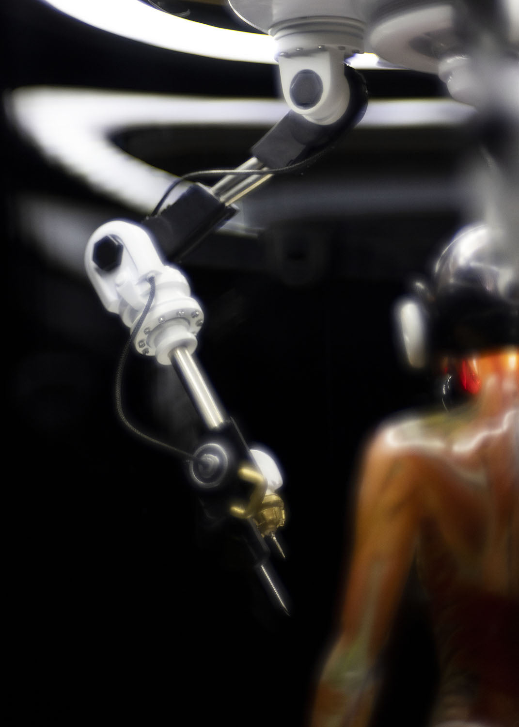 SOLAR LAB x YUHAN DESIGN STUDIO ornaments - Artificial Body limited 500
