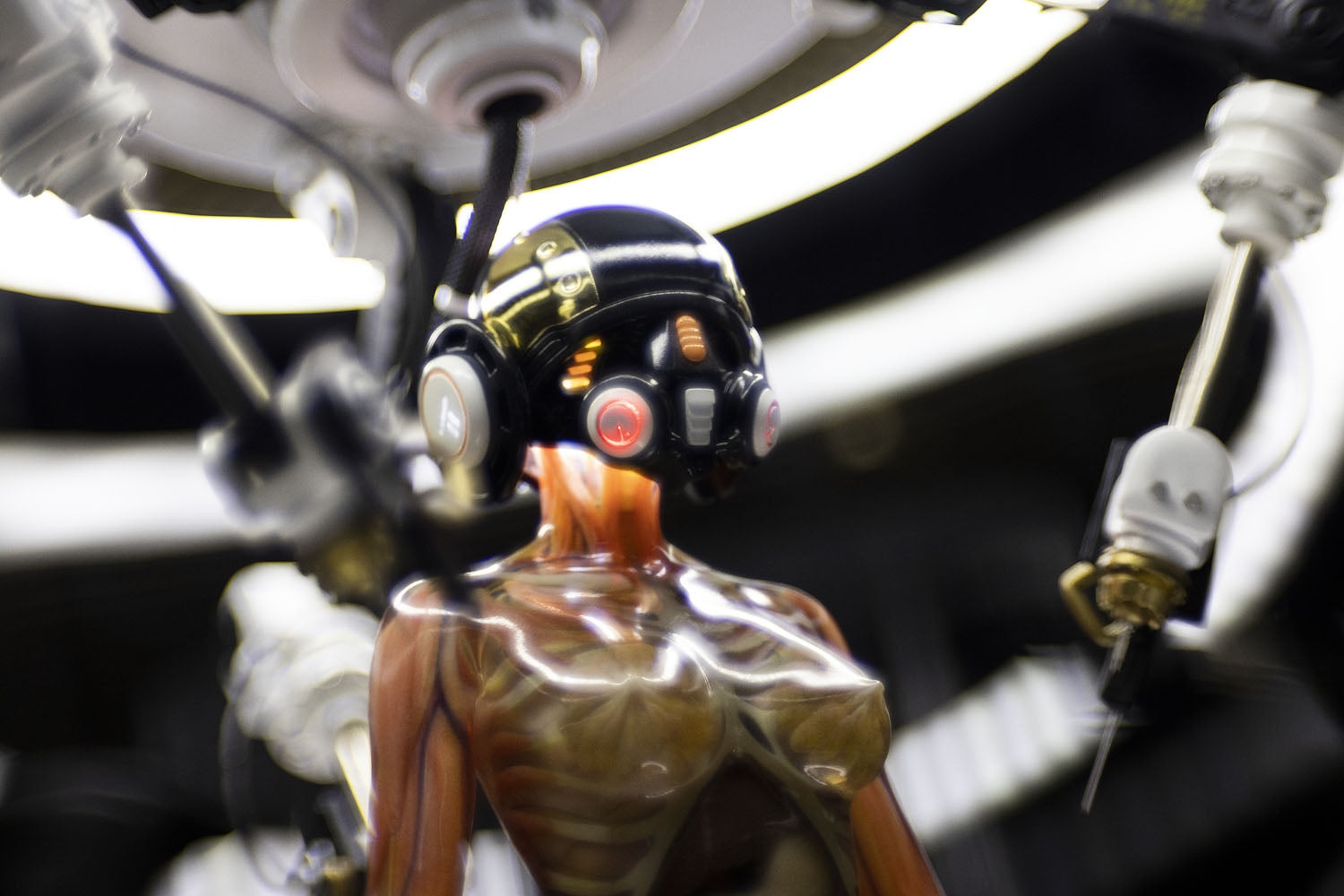 SOLAR LAB x YUHAN DESIGN STUDIO ornaments - Artificial Body limited 500