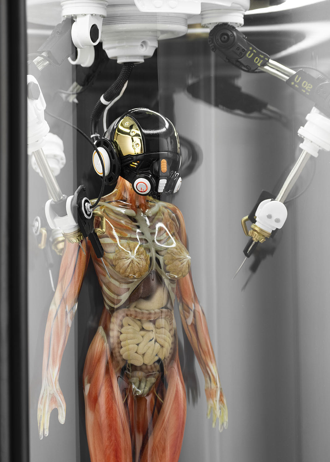 SOLAR LAB x YUHAN DESIGN STUDIO ornaments - Artificial Body limited 500