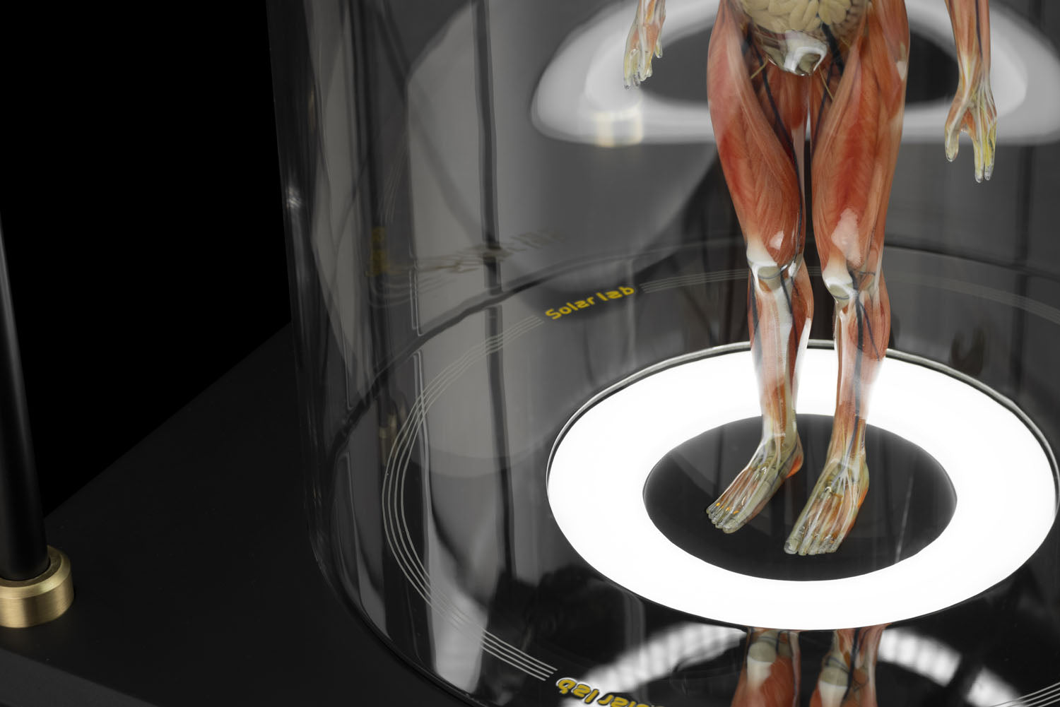 SOLAR LAB x YUHAN DESIGN STUDIO ornaments - Artificial Body limited 500