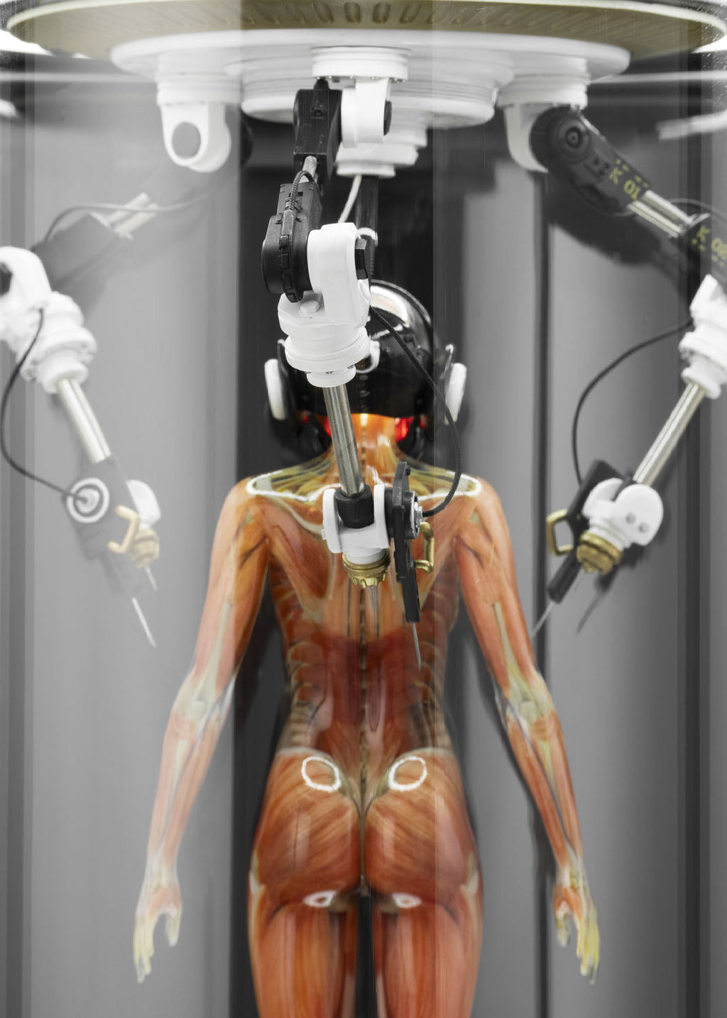 SOLAR LAB x YUHAN DESIGN STUDIO ornaments - Artificial Body limited 500