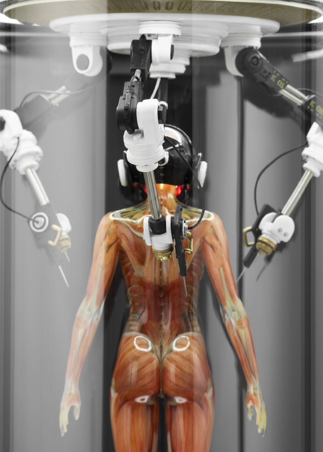 SOLAR LAB x YUHAN DESIGN STUDIO ornaments - Artificial Body limited 500
