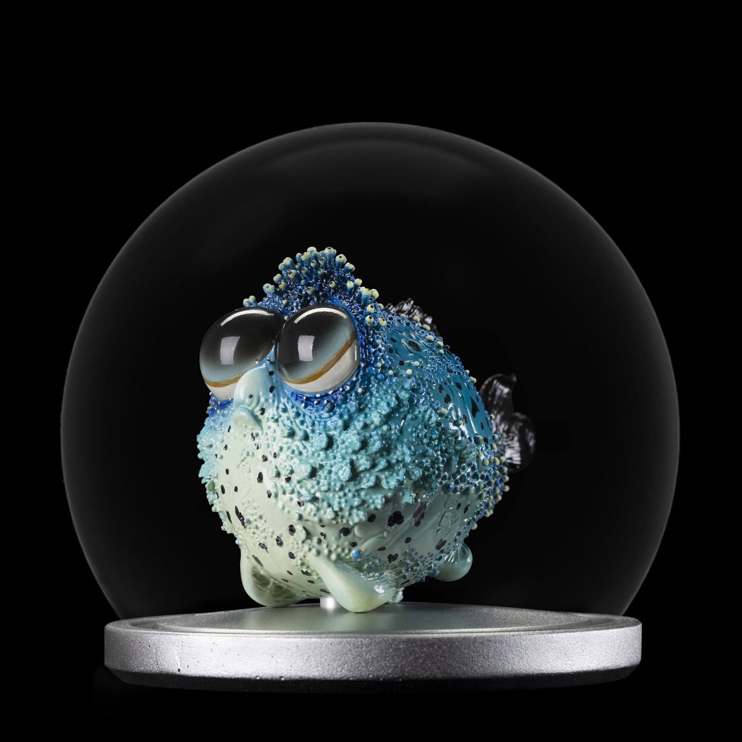SECRET《Dory Fish》