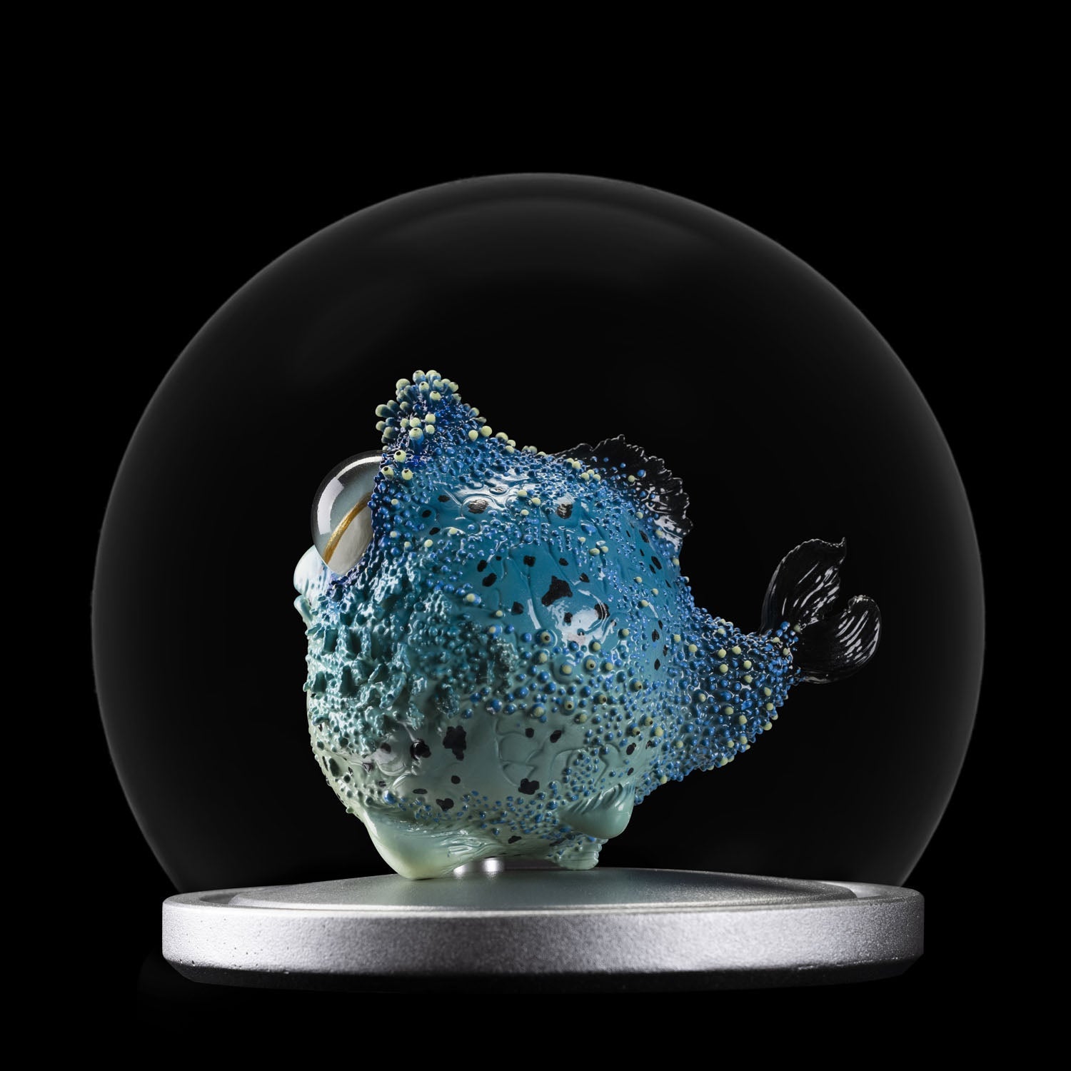 SECRET《Dory Fish》