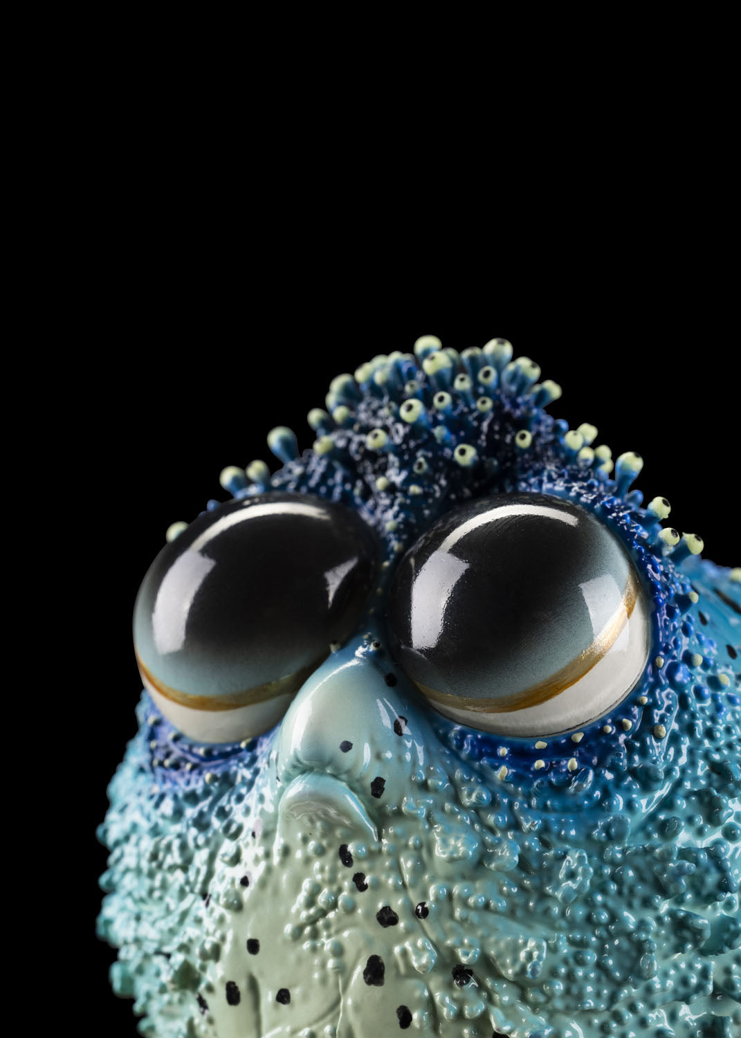 SECRET《Dory Fish》