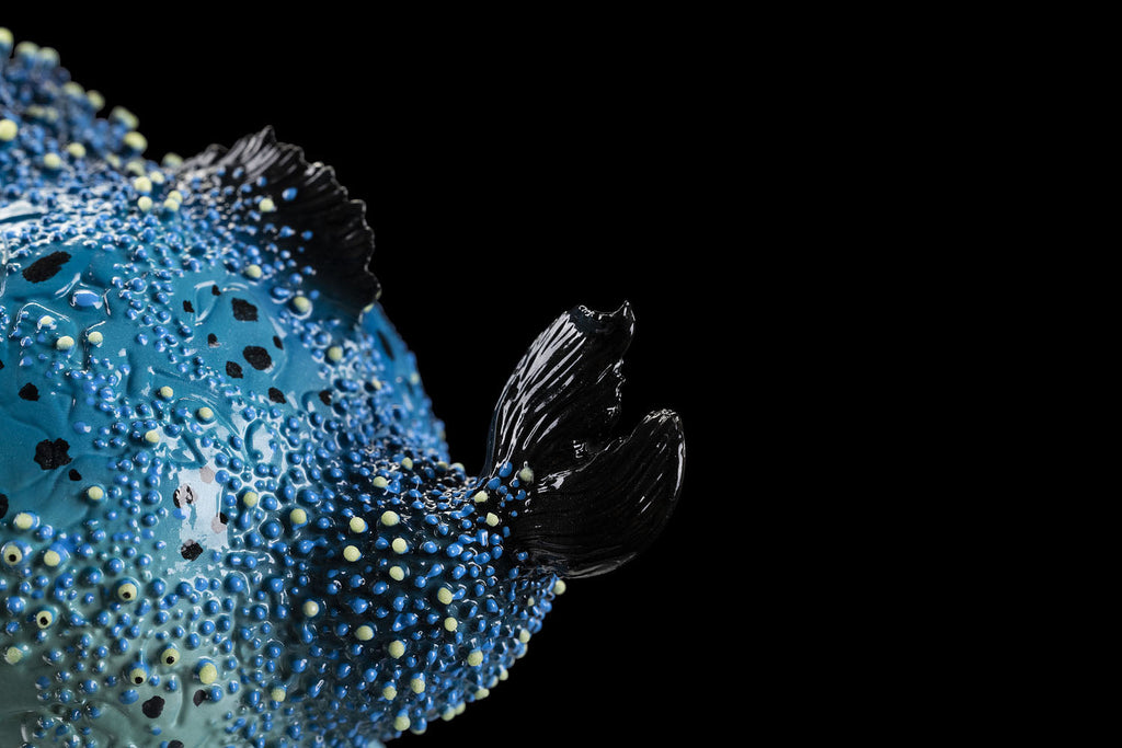 SECRET《Dory Fish》