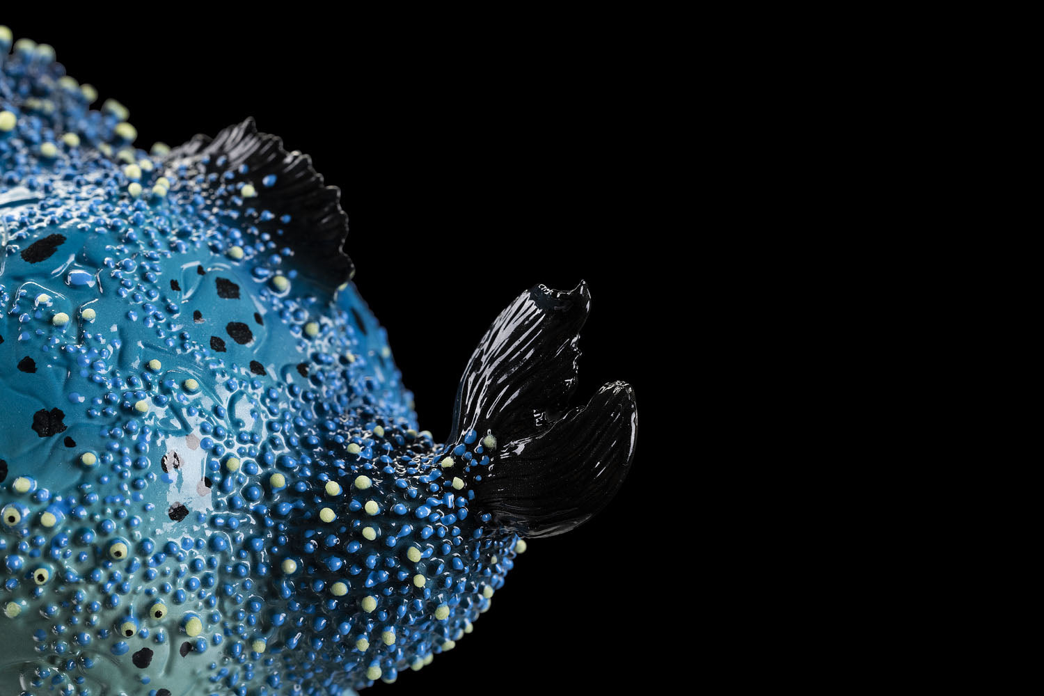 SECRET《Dory Fish》