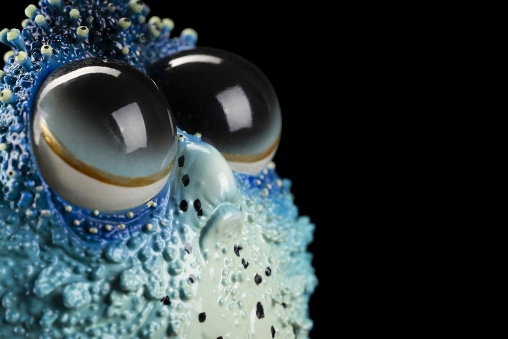SECRET《Dory Fish》
