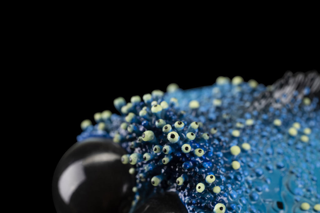 SECRET《Dory Fish》