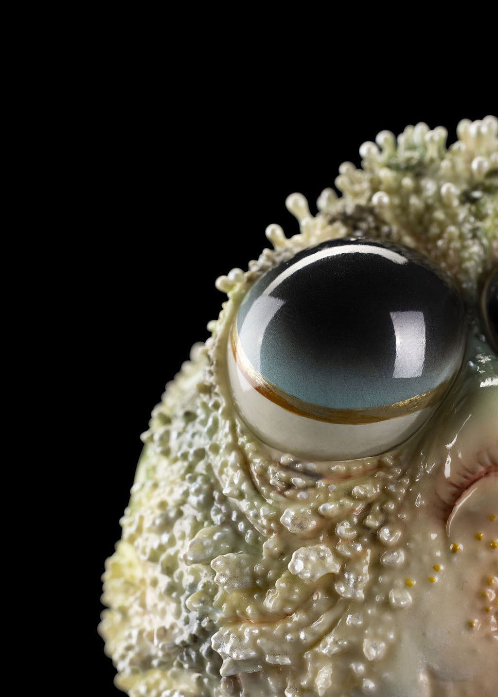 SECRET《Dory Fish》