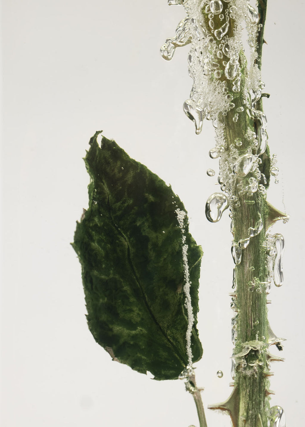 SECRET x NAN CHAO《Made in Love》limited 1314