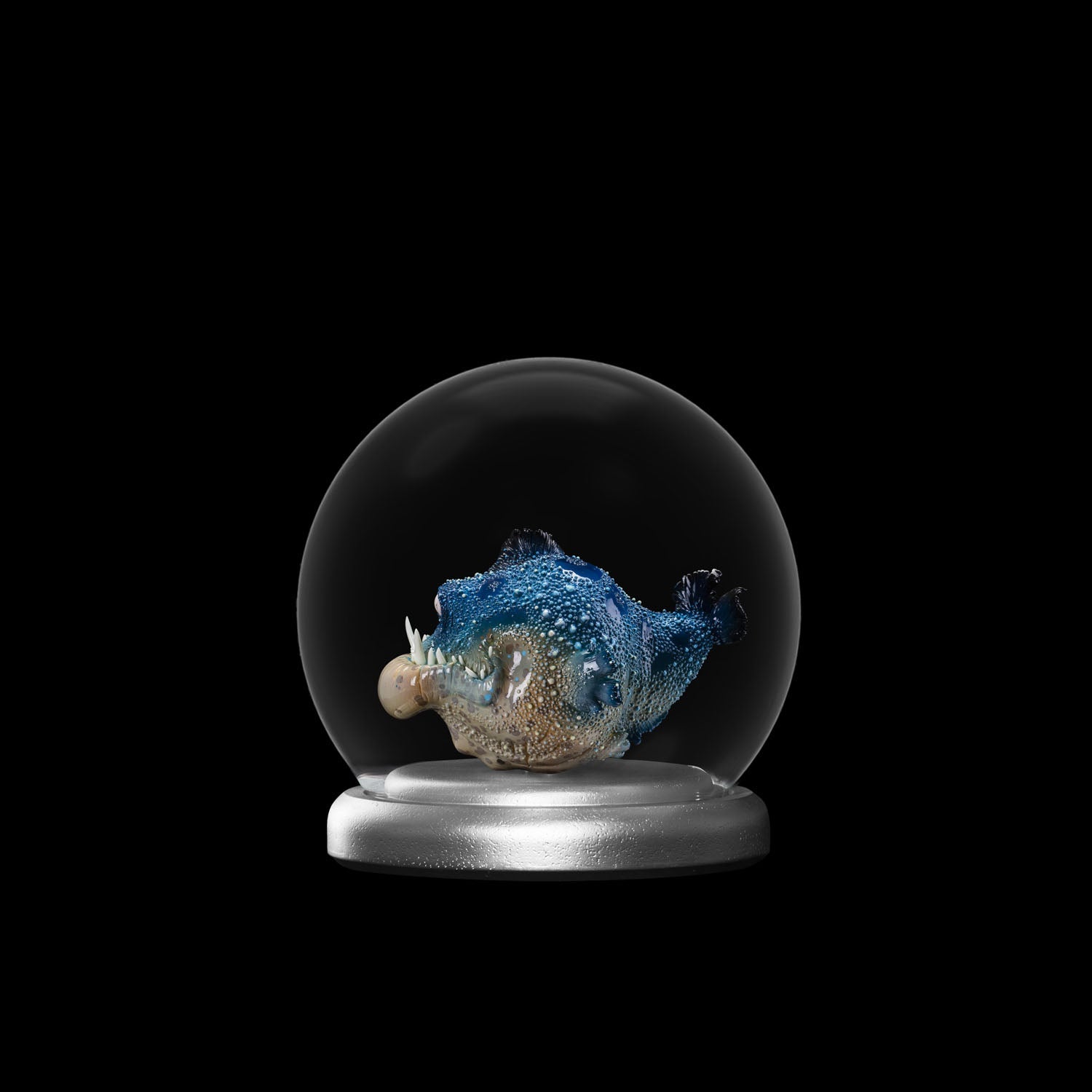 SECRET《Toothy Fish》
