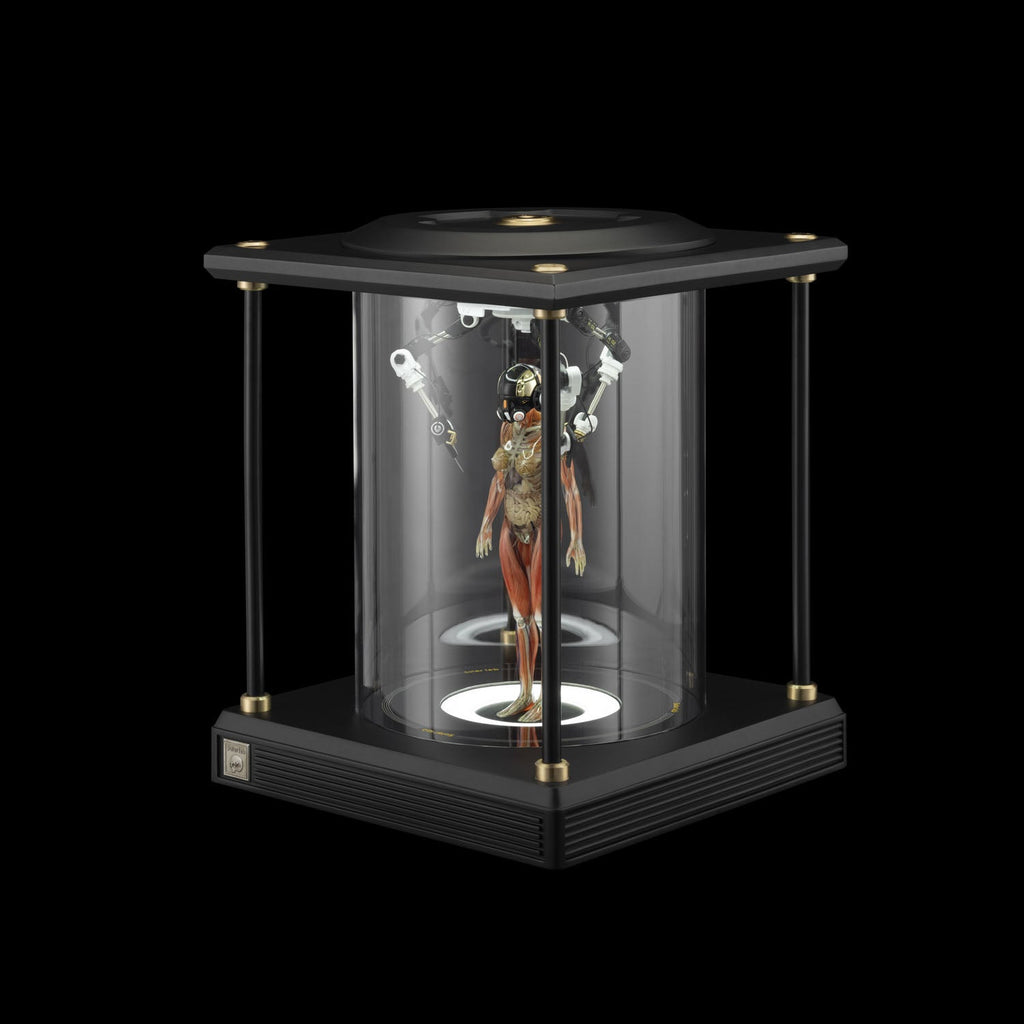 SOLAR LAB x YUHAN DESIGN STUDIO ornaments - Artificial Body limited 500
