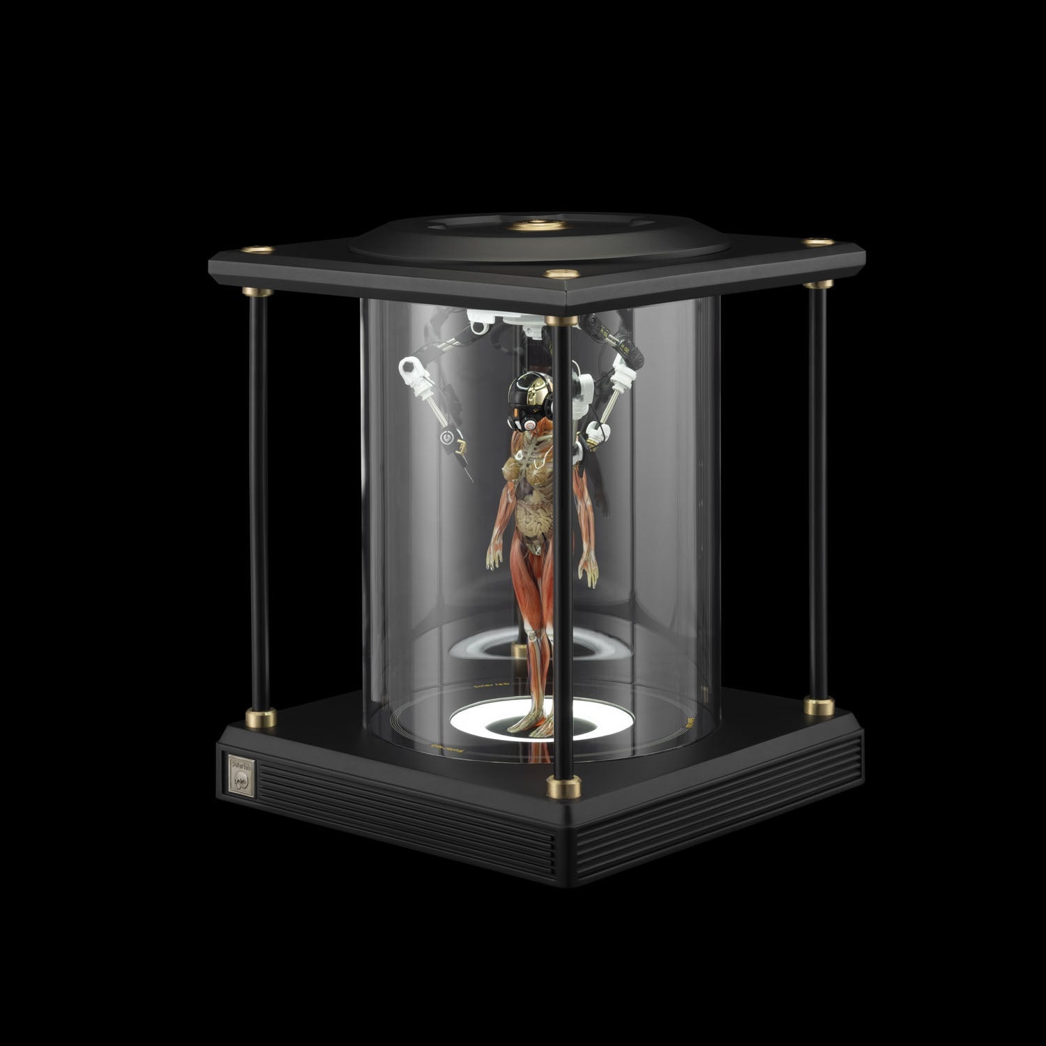 SOLAR LAB x YUHAN DESIGN STUDIO ornaments - Artificial Body limited 500