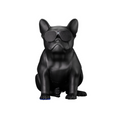 VIP AEROSYSTEM genuine leather Bluetooth speaker