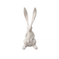AWHITE - Rabbit