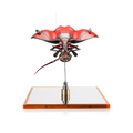 Zone E Lab - YUHAN X Udagawa Yasuhito《 C2 STINGRAY 》limited 8