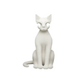 AWHITE - Cat