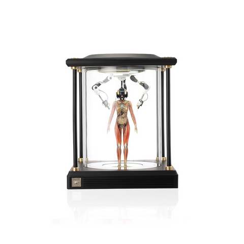 SOLAR LAB x YUHAN DESIGN STUDIO ornaments - Artificial Body limited 500