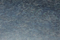 Carbon Fiber Table