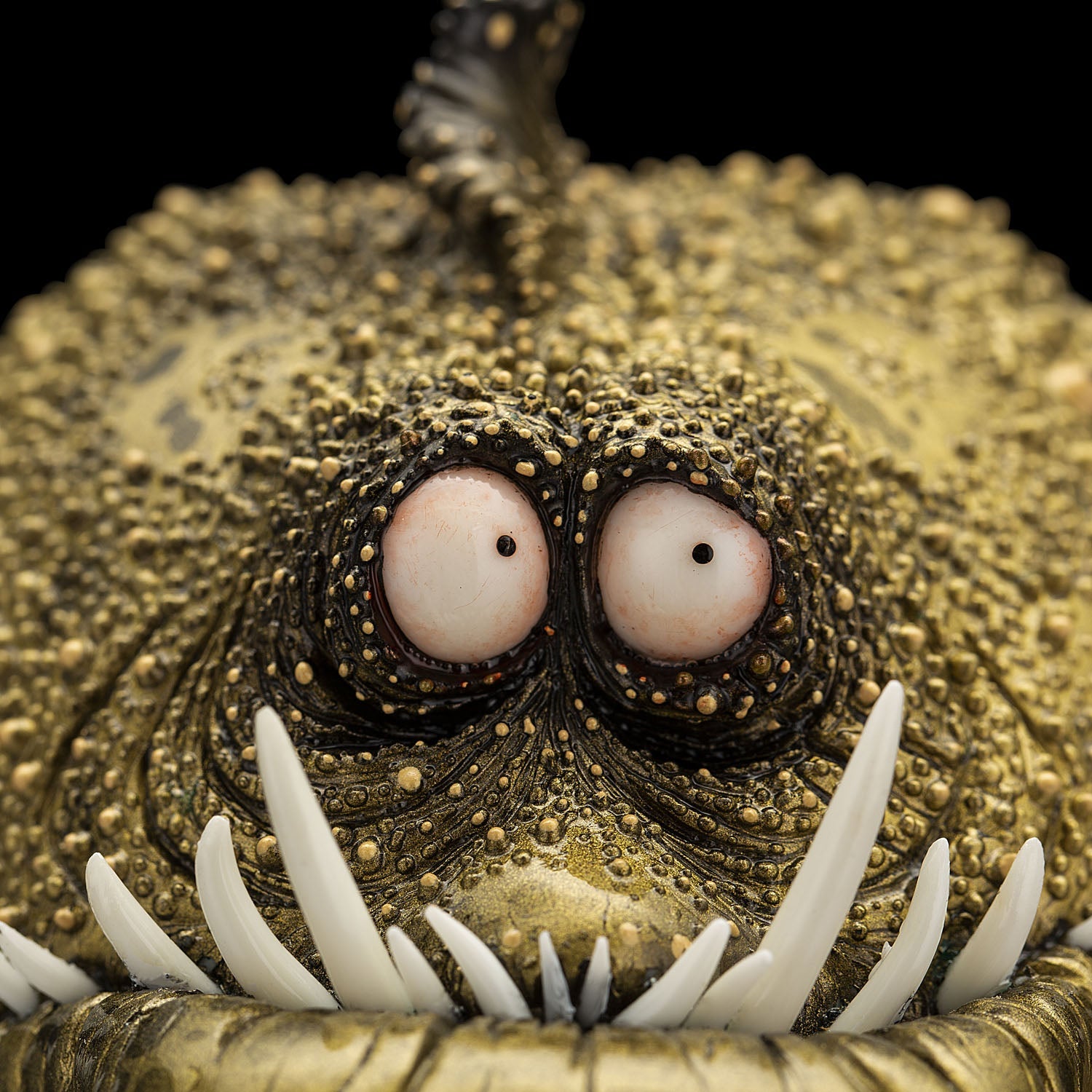 SECRET《Toothy Fish》