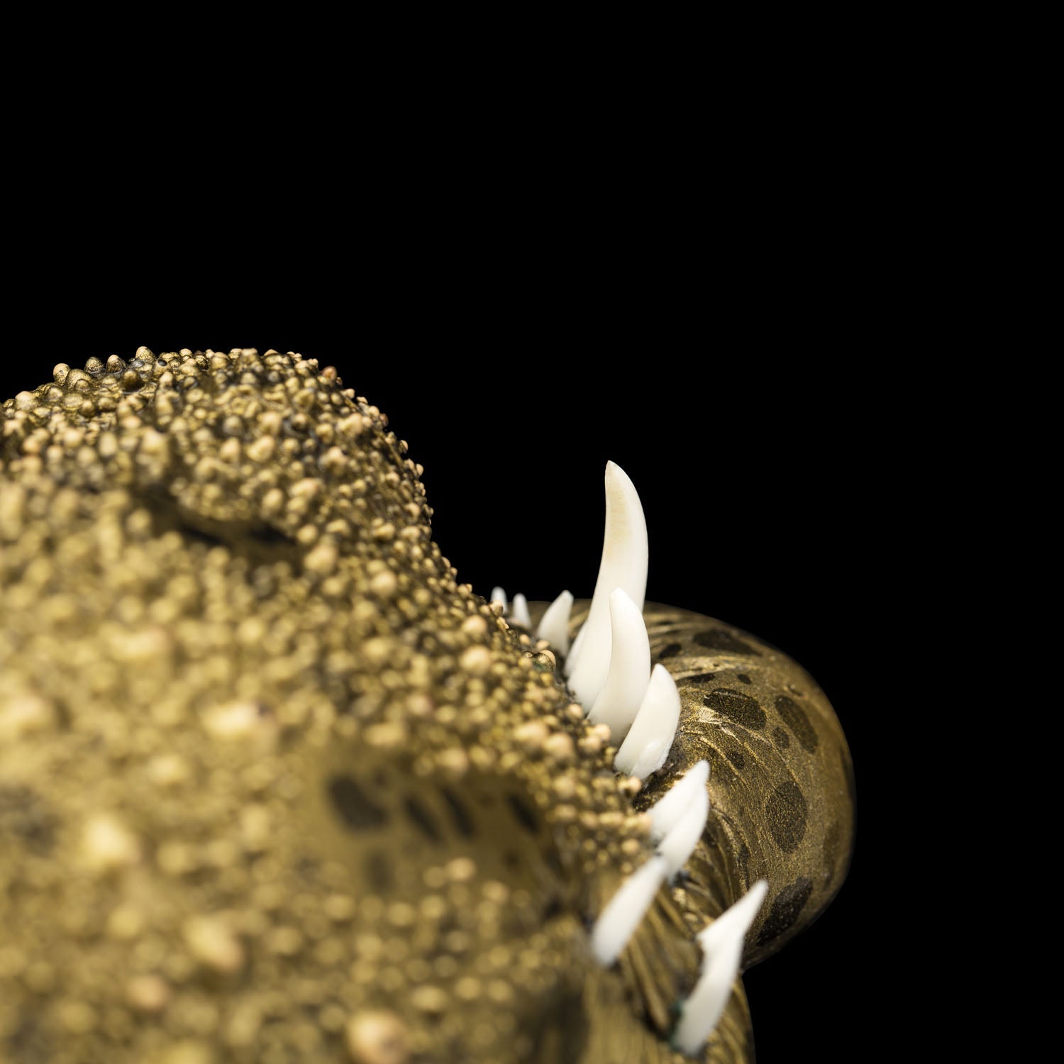 SECRET《Toothy Fish》