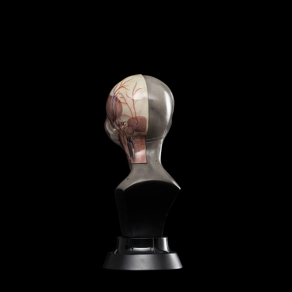 UPOINT STUDIO x VERY MUSEUM 《GREY》