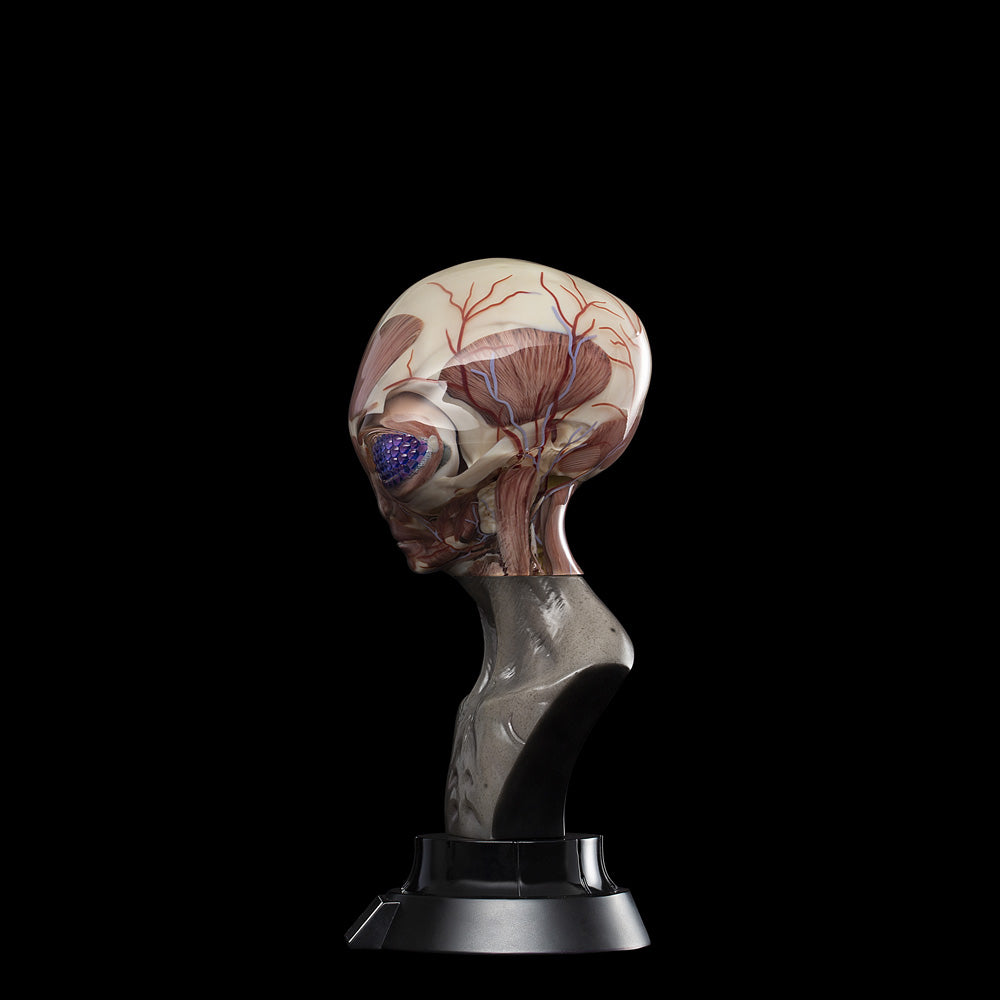 UPOINT STUDIO x VERY MUSEUM 《GREY》