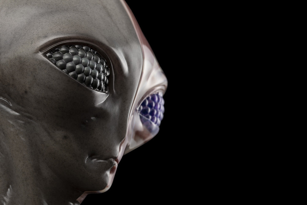 UPOINT STUDIO x VERY MUSEUM 《GREY》