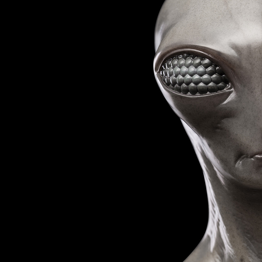 UPOINT STUDIO x VERY MUSEUM 《GREY》