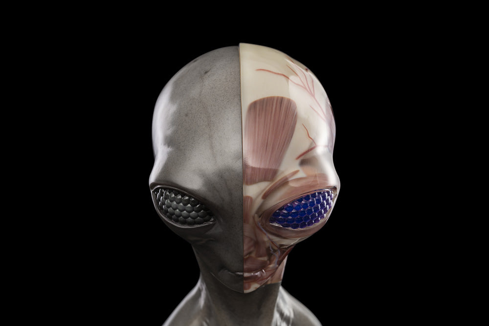 UPOINT STUDIO x VERY MUSEUM 《GREY》