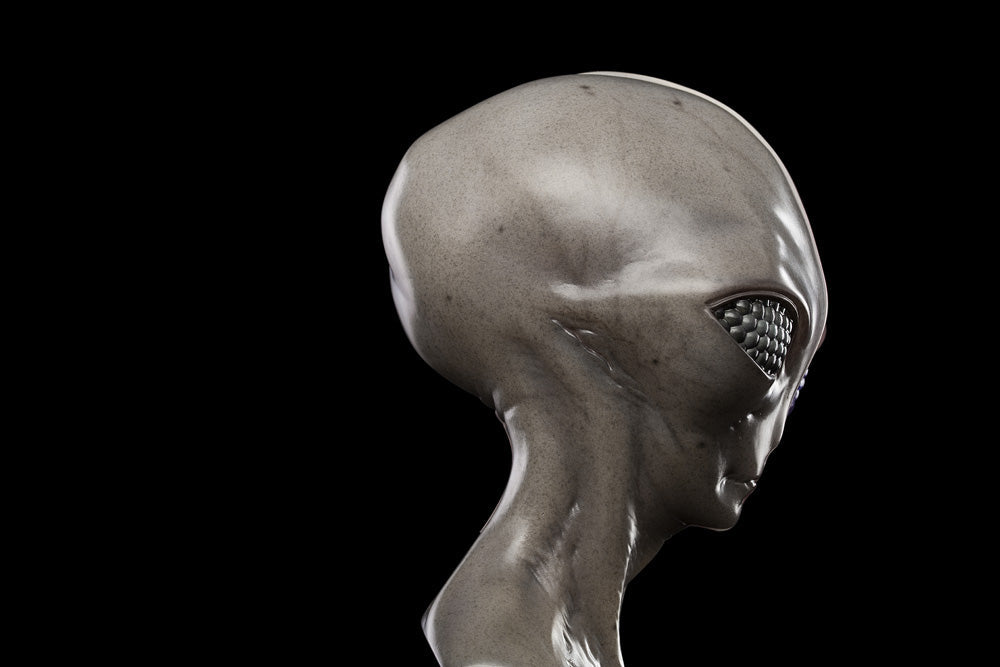 UPOINT STUDIO x VERY MUSEUM 《GREY》