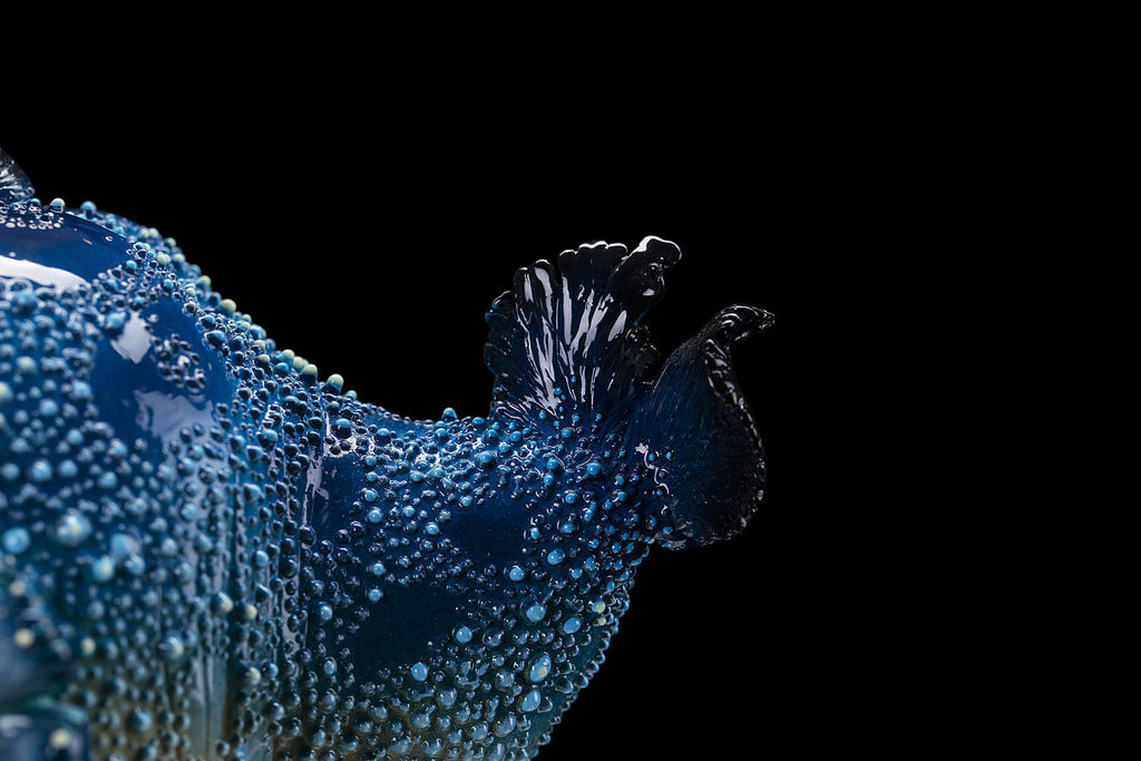 SECRET《Toothy Fish》