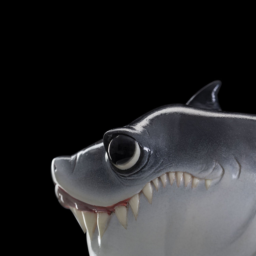 SECRET《Baby Shark》