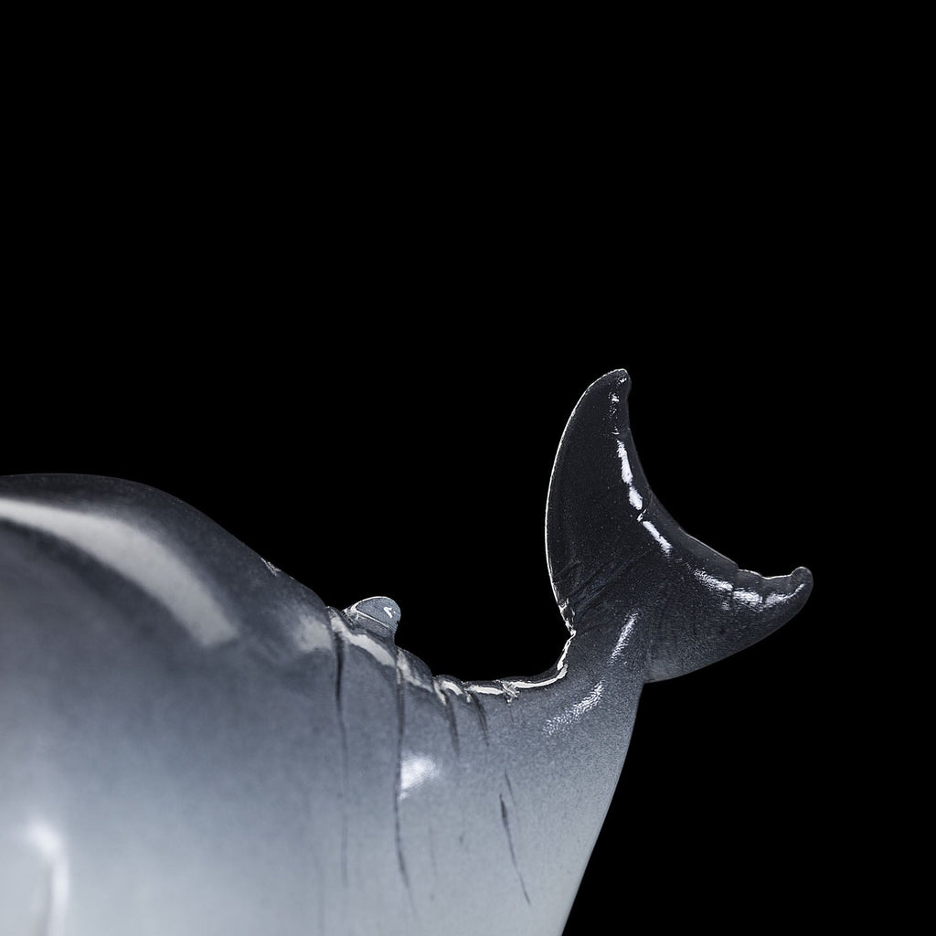 SECRET《Baby Shark》