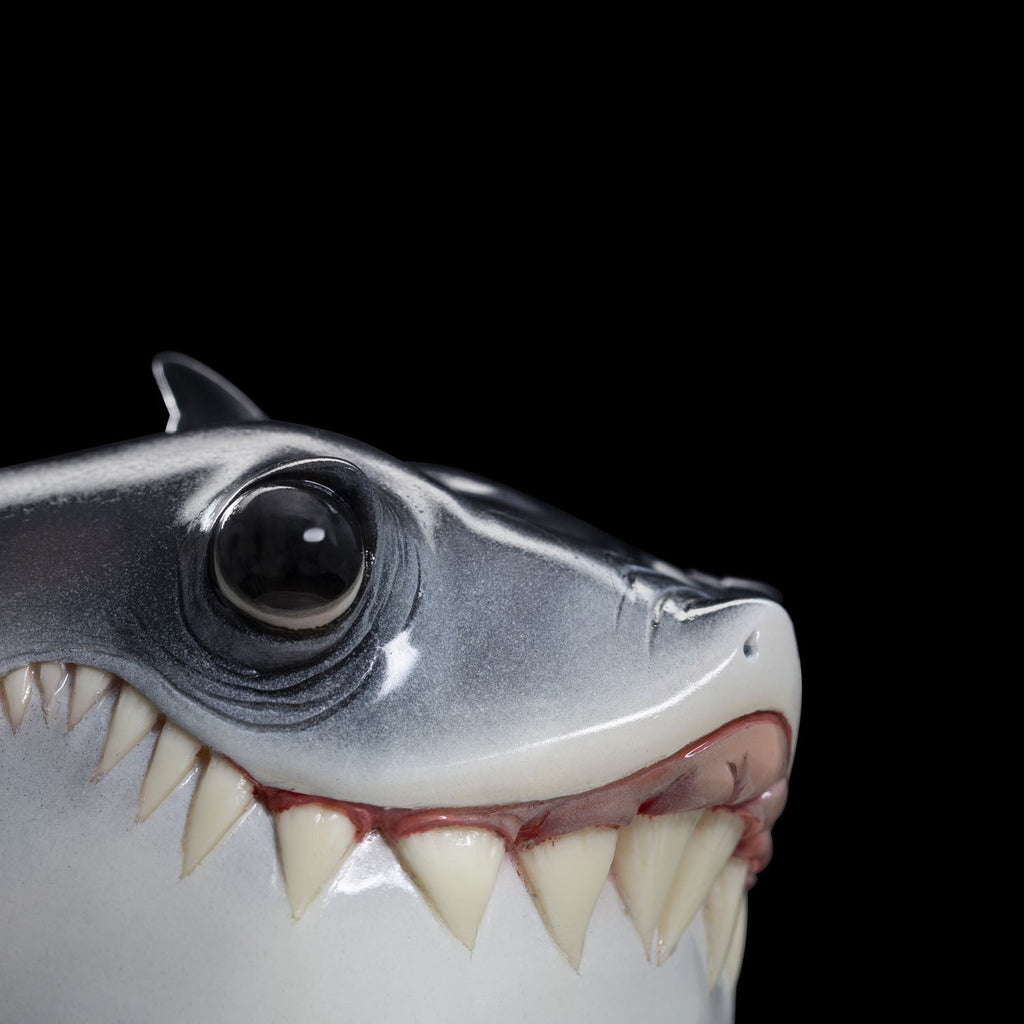 SECRET《Baby Shark》