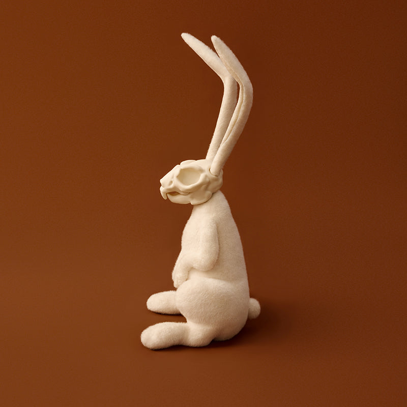 AWHITE - Rabbit